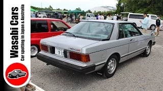 Miracle Survivor: 1980 Nissan Bluebird SSS Turbo S 2-Door Hardtop