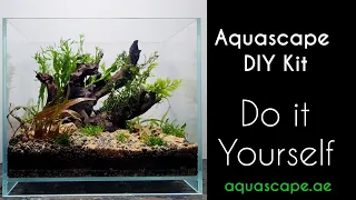 Do it Yourself| Aquascaping Kit|