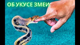 №5. ОБ УКУСЕ ЗМЕИ. Ф. Ницше. Так говорил Заратустра