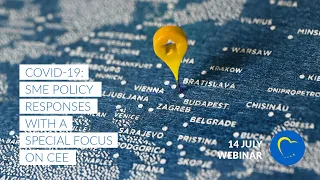 Covid-19: SME Policy Response with a Special Focus on CEE