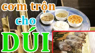 TẠO HỖN HỢP CƠM TRỘN CHO DÚI - THỨC ĂN CHO HIỆU QUẢ CAO NHẤT TRONG NUÔI DÚI KINH TẾ | SONFARM