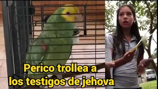 Perico trollea a los Testigos de Jehová los dejo esperando 30 minutos