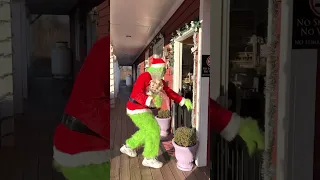 The Grinch visits the Sassy Boutique at Tai Bella