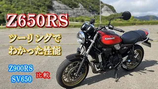 これは売れる【Z650RS】50th Anniversary　ワインディングの爽快なハンドリングと２気筒サウンド