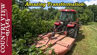 Clearing out overgrown Fence line.  The Grapple and Rotary cutter make Easy work of it.