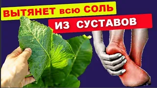 Вытянет всю СОЛЬ из СУСТАВОВ и СПИНЫ !