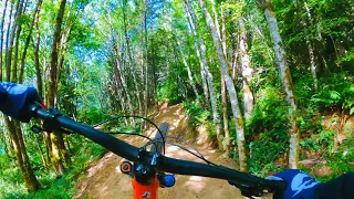 Sandy Ridge Mountain Bike Trails! Big Jumps and Epic Trails! Oregon MTB Paradise 🌳