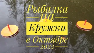 СТОЛЬКО ПОКЛЁВОК Я ЕЩЁ НЕ ВИДЕЛ! ЛОВЛЯ ЩУКИ И СУДАКА НА КРУЖКИ!