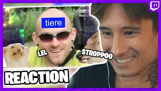Ju reagiert auf TIKTOK Master STROPPOO (Musikvideo) Ohrwurm garantiert | Julien Bam Twitch Highlight