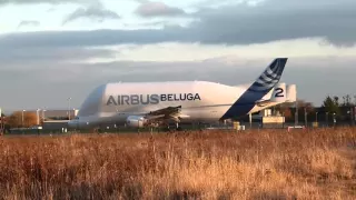 Airbus A300-600ST Beluga (F-GSTB) taking off from Hawarden Airport