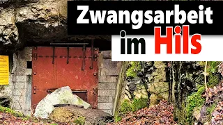 Zwangsarbeit im Hils: die schrecklichen Orte des NS-Terrors im Weserbergland