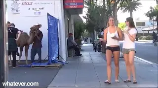 The Camel Toe Prank