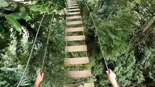 Sky Bridge - VR 360 Video - Flight of the Gibbon