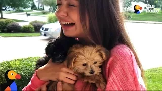 Girl FREAKS OUT After Puppy SURPRISES | The Dodo