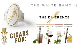 Davidoff White Band explained: Signature, Gran Cru, Aniversario, Millenium