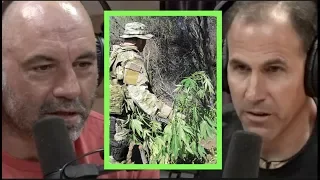 Joe Rogan | Weed Prohibition Fuels Drug Cartel Activity Inside the US w/John Nores