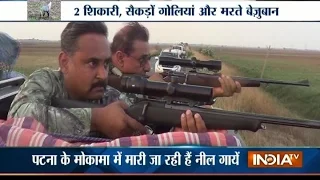 Hunting Operations: Bihar Government Allows to Shot Nilgai in Mokama