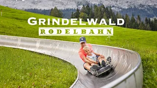 Grindelwald Rodelbahn / Toboggan ride -  Switzerland 4K 60fps video