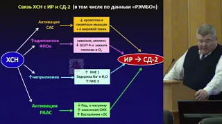 В.Ю. Мареев - «Особенности сердечной недостаточности у пациентов с сахарным диабетом 2 типа»