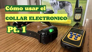 ⚡⚡COMO se usa el COLLAR electronico PARA PERROS ⚡⚡