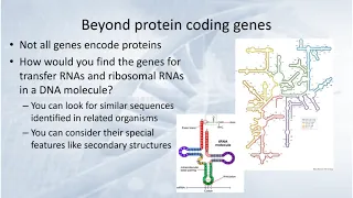 Genome annotation and inferring function