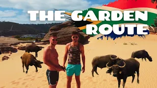 South Africa: The Garden Route (Road Trip) | The Dos and Dont's 🇿🇦