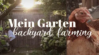 Backyard Farming 👩‍🌾 das pflanzen & ernten wir - Rundgang durch unser Gartenjahr 🥕🌱🥔