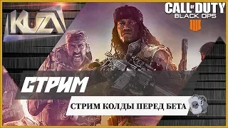 Call of Duty: Black Ops 4 🛡 стрим колды перед бета