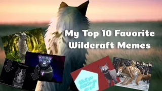 My Top 10 Favorite Wildcraft Memes ||Credits In description (Part 1?)