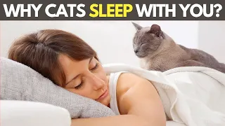 Why Does Your Cat Sleep With You? - What Your Cat's Sleep Spot Reveals About Your Connection