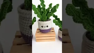 Crochet Cactus - Amigurumi Fishbone Plant