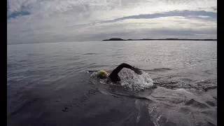 Défi de natation en mer - Les Ebihens Cézembre 10 km