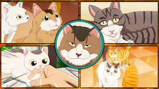 The Way of the Househusband - Cats | Gokushufudo - Neko