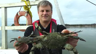 DNR's Blue Crab Winter Survey in the Chesapeake Bay