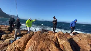 Fishing in Simon’s Town[Red Roman+ Barbel+Hottentot]