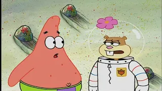 Spongebob Squarepants - Don't You Have To Be Stupid Somewhere Else?