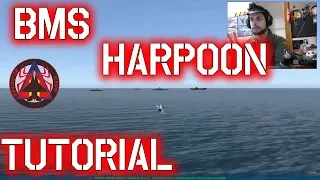 FALCON BMS - AGM-84 HARPOON BASIC TUTORIAL