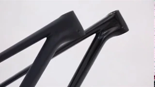 We offer carbon MTB frame with  Bright/ Matte and without logo