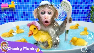 Let's Have Fun Bubble Bath! 🛁 Cheeky Monkey Take A Bath With Duckling | Nursery Rhymes & Kids Songs