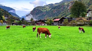 Switzerland Lauterbrunnen Valley 🇨🇭 an Alpine Paradise for Travellers | #swiss #swissview