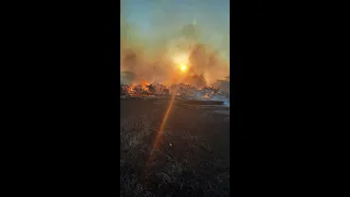 Горит сухая трава. Огонь быстро приближается к жилым домам на Вострянском поле. Жители в панике.