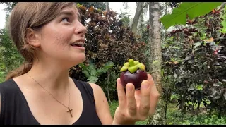 I Tried A Lot Of Fruit In Asia