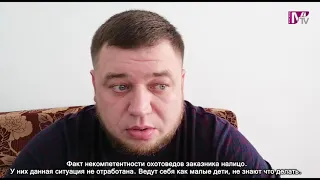 Раненую лосиху жители Сузунского района спасли от верной смерти