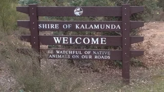 Yowie / Bigfoot Sighting (Audio Report #66), at Kalamunda - Western Australia