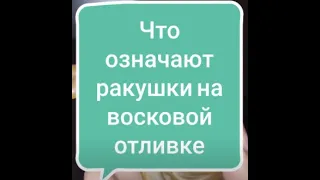 что означают ракушки восковой отливке