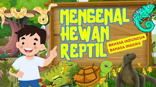 LEARN TO KNOW THE NAMES OF REPTILE ANIMALS IN INDONESIAN AND ENGLISH | TODDLER IN KINDERGARTEN