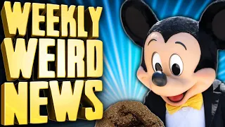 Disney Parks' Poop Problem - Weekly Weird News