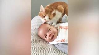 СМЕШНЫЕ КОТЫ И СМЕШНЫЕ ДЕТИ 2/FUNNY KIDS AND FUNNY CATS 2