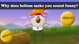 Why does helium make you sound funny? | #aumsum #kids #science #education #children