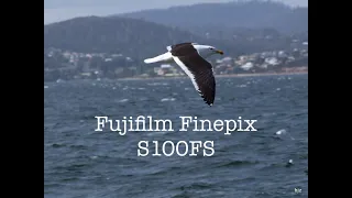 Digicam Delights: Fujifilm FinePix S100FS in 2023